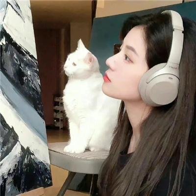 朕的刺客女友